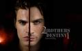 The-Salvatore-Brothers-Wallpaper-the-vampire-diaries-tv-show-10500218-1290-800